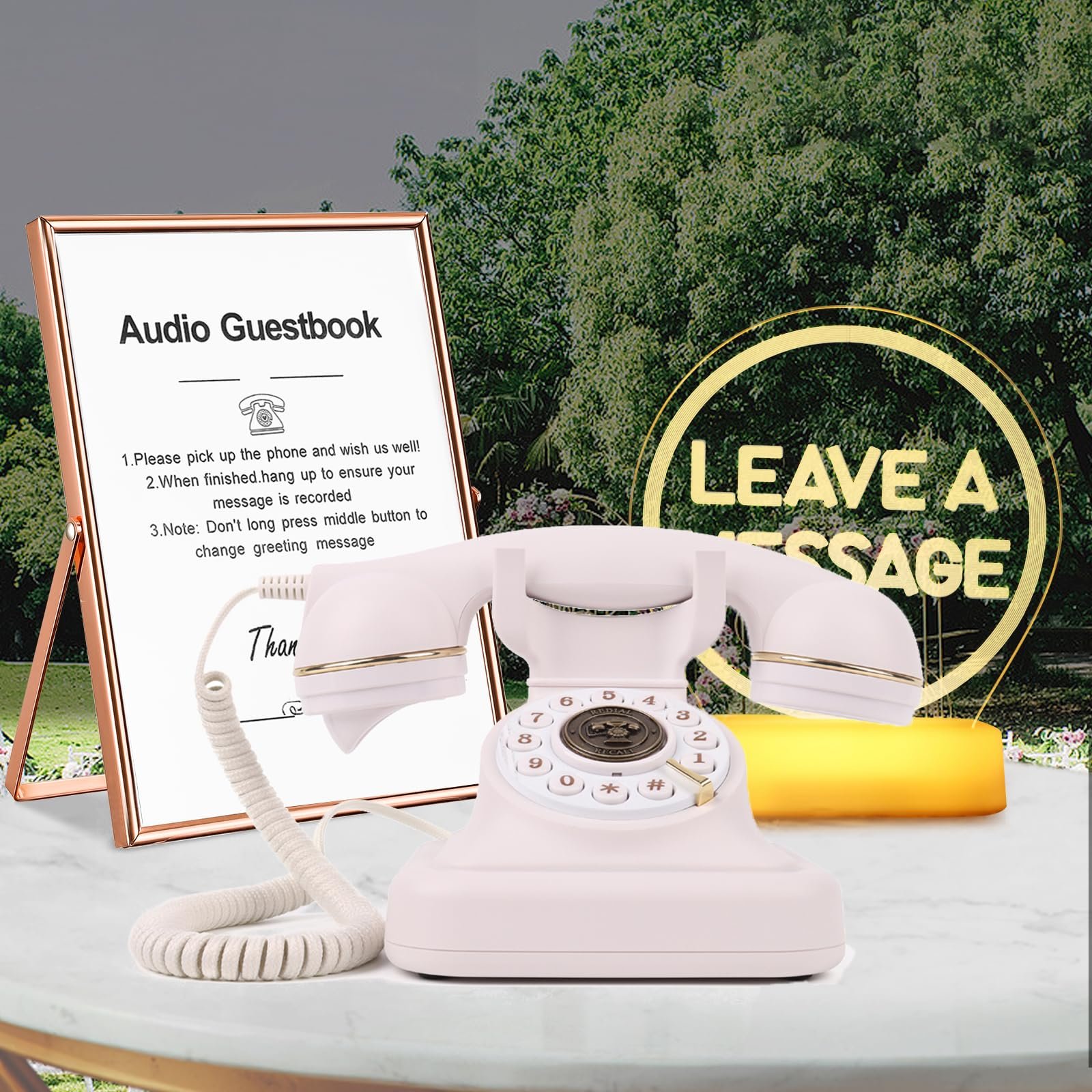 Audio guest book phone add-on